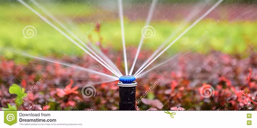 Annual ERRCA Irrigation Blowout