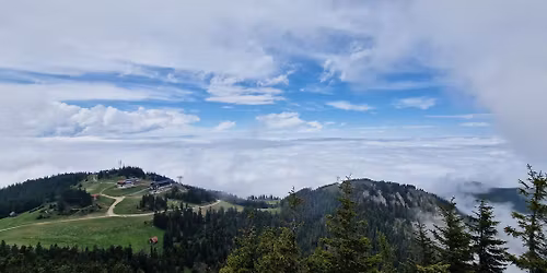 Post\u0103varu S\u0103lbatic prin Drumul \u0218erpilor