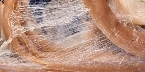 Course #4: Fascia 102 (pre-requisite Fascia 101)