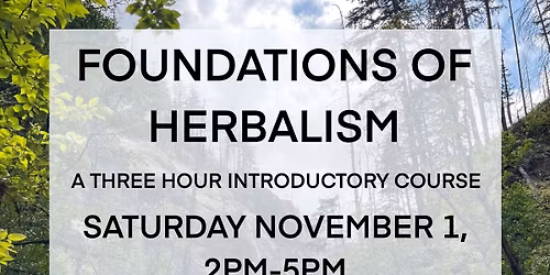 Foundations of Herbalism Class