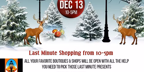 Winter Wonderland in Historic Springboro 