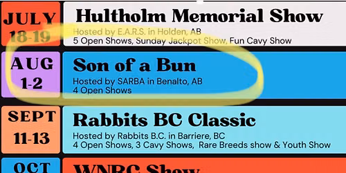 SARBA Son of a Bun Rabbit Show