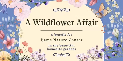 A Wildflower Affair