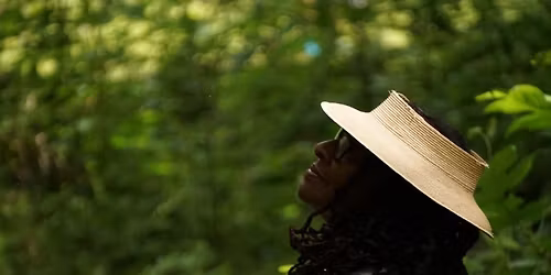 Sensational Spring Forest Therapy Walk