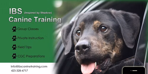 Puppy\/ Beginner Class
