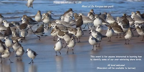 Beginners Wader Watch - La Rocque