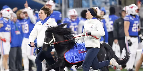 North American Stallions at Sam Houston Bearkats Womens Basketball