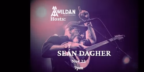 Se\u00e1n Dagher Live at Awildan