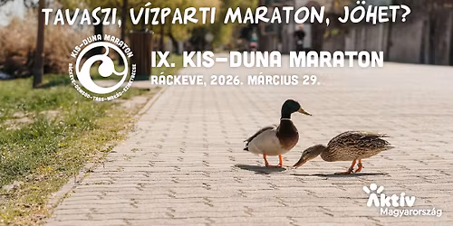 IX. Kis-Duna Maraton