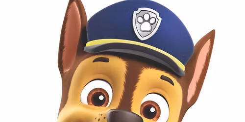 Play day with CHASE \ud83d\udc3e