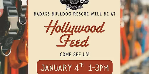 Bulldogs at Hollywood