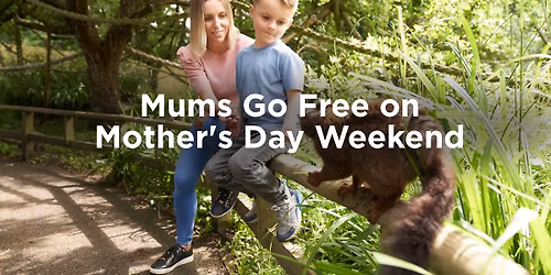 Mums Go Free on Mother's Day Weekend