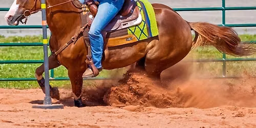 Verner Ram Rodeo - Sunday Pass