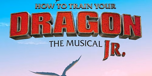 How To Train Your Dragon Jr.