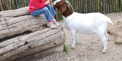 \u00c5rskortholderweekend