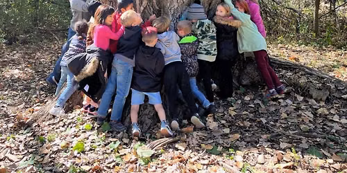 Nature Neighbors-Above the Forest Floor (For youth completing 1st or 2nd grade)