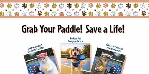 Pickleball Mixer