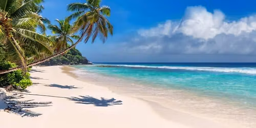 Life is A Beach - Christmas Party