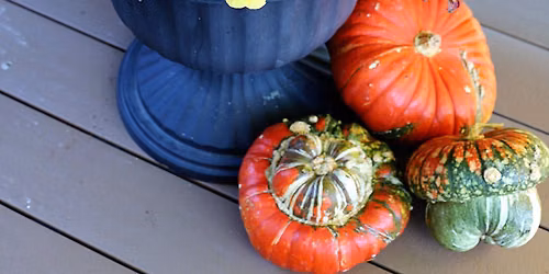 *SOLD OUT* Workshop Fall Porch Planter 9\/13 @11am