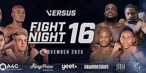 Versus Fight Night 16