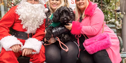 COCKAPOO CAFE CHRISTMAS - LIVERPOOL