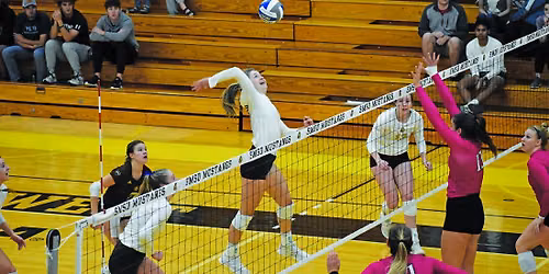 Minnesota Duluth Bulldogs Women's Volleyball vs. Southwest Minnesota State Mustangs