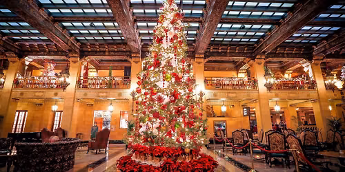 Davenport Christmas Tree Lighting