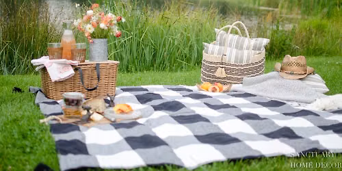 Picnic
