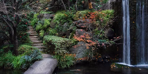 Day-Long Meditation Retreat