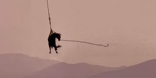 The Gardener & The Tree in Wien