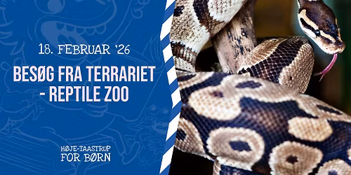 Bes\u00f8g fra Terrariet - Reptile Zoo \/\/ fra 5 \u00e5r