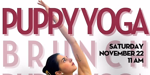 Puppy Yoga + Brunch at The Game One