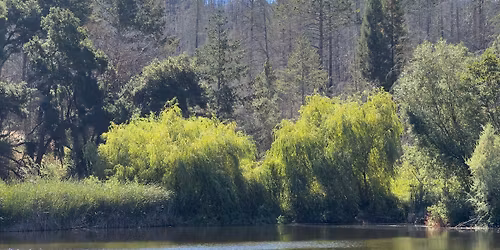 Pond Day at Rancho Mark West