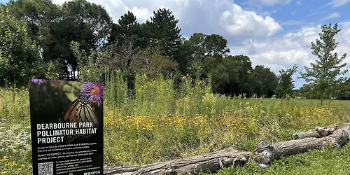 Dearbourne Pollinator Habitat September Stewardship Event