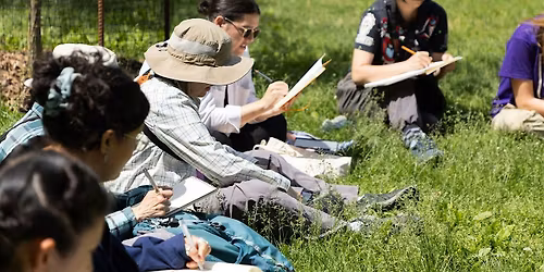 Getting Started with Field Sketching & Journaling