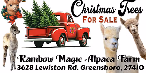 Christmas on the Alpaca Farm