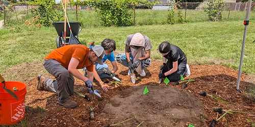 Beautify Southwest Parks with UNI