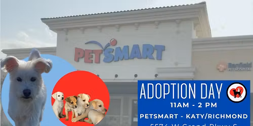 Adoption Day at PetSmart - Richmond