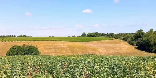 Selling 12 mile walk