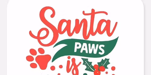 Santa Paws