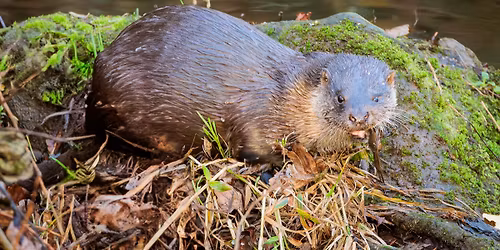 Christmas Special: Photo Competition Social