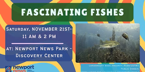 Fascinating Fishes