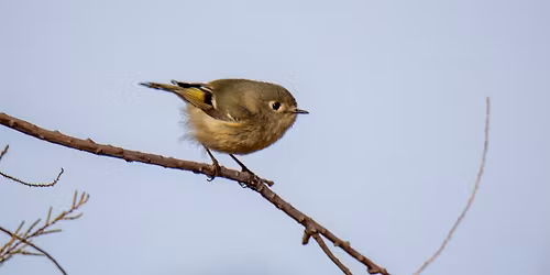 December meeting: Photo share