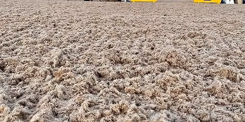 Training Day @Richmond