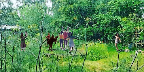Fyrregaarden Forest Dance - Silent