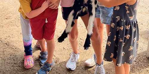  Summer Art Camp on the Farm