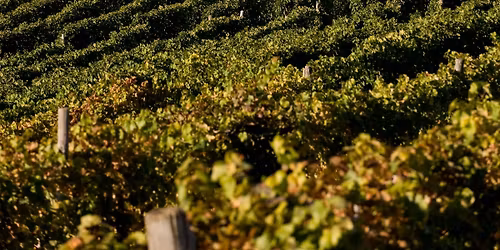 Italian Wine Dinner to benefit Newport Food Pantry