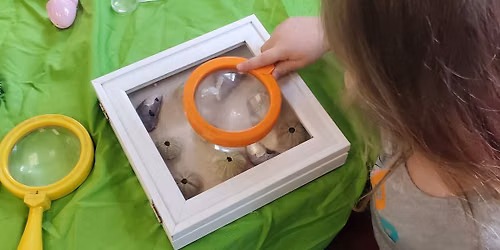 all about water invertebrates camp!
