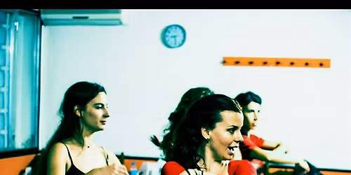 Flamenco Workshop