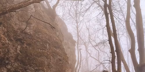 Novemberi t\u00farasorozat II. - Holdvil\u00e1g-\u00e1rok \/ Vasas-szakad\u00e9k